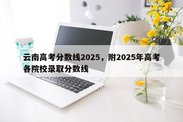 云南高考分数线2025，附2025年高考各院校录取分数线