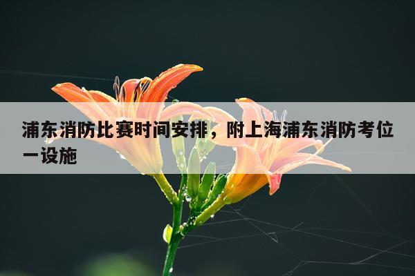 浦东消防比赛时间安排，附上海浦东消防考位一设施