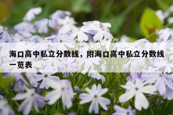 海口高中私立分数线，附海口高中私立分数线一览表