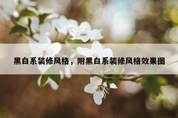 黑白系装修风格，附黑白系装修风格效果图