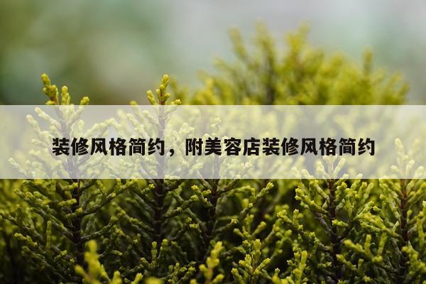 装修风格简约，附美容店装修风格简约