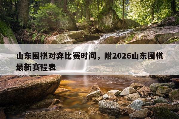 山东围棋对弈比赛时间，附2026山东围棋最新赛程表