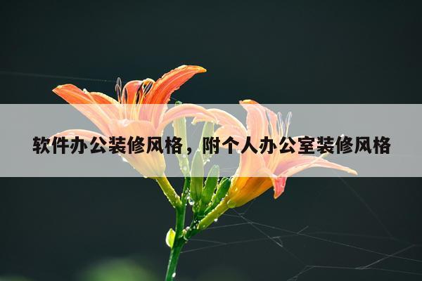 软件办公装修风格，附个人办公室装修风格