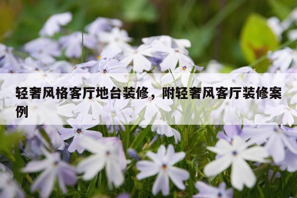 轻奢风格客厅地台装修，附轻奢风客厅装修案例