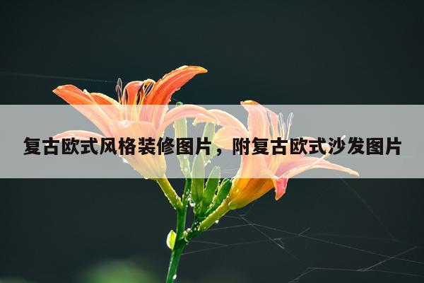 复古欧式风格装修图片，附复古欧式沙发图片